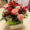 ChoChowin1295 - @chochowin1295 - TikTok