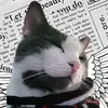 Chonk Boi Chase - @chonk_boi_chase - TikTok