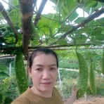 Chon Ho - Facebook