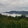 快乐大人物 - @chongkongkeong47 - TikTok