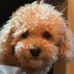 청춘포장마차 - @chung_choon_bs - Instagram
