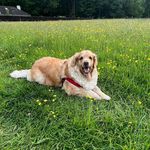 Choonkoopawh - @choonkoopawh - Instagram
