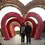 Chor Chen Tan - @chorchentan - Instagram