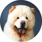 만식이 - @chow_mansik - Instagram