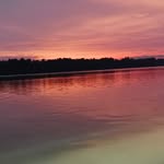 Chow Chee Weng - @waynechow1978 - Instagram