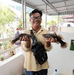 Weng Che Chow - Facebook