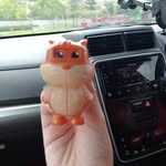 wengkit3 - @chow.wengkit3 - Instagram