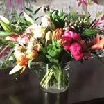 Choy Chan - @choy.chan.100 - Instagram