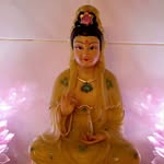 Choy Chong - @choychongchong - Instagram