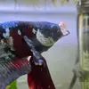 Chris Abbas - @chris.abbas - TikTok
