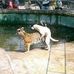 Chris Aber - Facebook