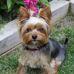 Kris Ableidinger - Facebook