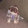 Chris Abrahamson - @chris.abrahamson96 - TikTok