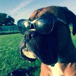 Chris Abram - @stien01 - Instagram
