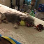 Chris Absher - @thedeathdragon5 - Instagram