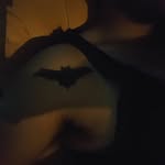 Chris Ache - @chris.ache.10 - Instagram