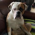 Christine Ackerley - @cece6599 - Instagram