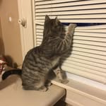 Chris Ackley - @chris.ackley.35 - Instagram