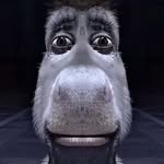 chris ackley - @user8302675512 - Instagram