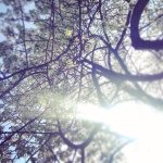 Chris Acton - @remembertheprojector - Instagram