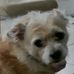 Chris Adlfinger - Facebook