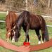 Christa Affolter - Facebook