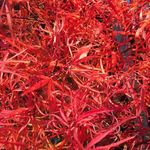 Christian Affolter - @christian.affolter.16 - Instagram