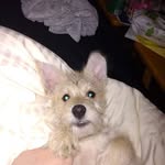 Chris Agee - @chris.agee.37 - Instagram