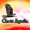Chris Aguila - @chrisaguilamusic - TikTok