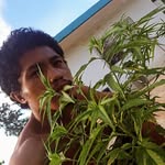 NOTHIN BUT GOOD VIBES AND GOOD BUDZ - @chrisaguon734 - Instagram