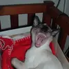 Christel Ahlberg - @christel.ahlberg - TikTok