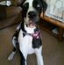 Chris Ahlers - Facebook