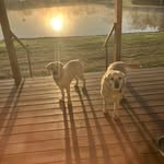 Chris Ahlers - @sashasyellow - Instagram