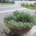 Chris Ahn - Facebook