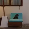 chris ahn - @chris.ahn4 - TikTok