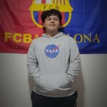 Chris Ahr - @christophersilva15 - Instagram