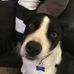 Chris Ahrens - Facebook