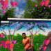Chris Aime - Facebook