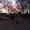 Chris D'Alberti - @chrisdalberti - TikTok