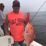 Chris Alcorn - @chris.alcorn.56 - Instagram