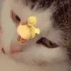 christa.alcorn - @christa.alcorn - TikTok