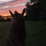 Chris Aldinger - @chris_aldinger - Instagram