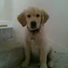chrisaldred745 - @chrisaldred745 - TikTok