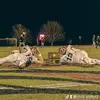 chris aiello - @chris.aiello12 - TikTok