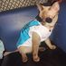 Chris Alfonso - Facebook