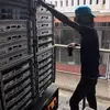 Chris Ali - @chrisali1 - TikTok