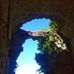 Chris Allain - Facebook
