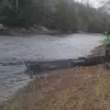 Chris Allain - @chris.allain42 - TikTok