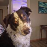 Chris Peterson Allers - @callers0519 - Instagram