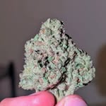 Christopher Allerton - @bluntsandbites - Instagram